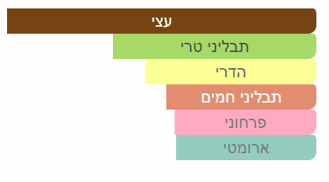 צילום מסך 2025-04-15 231640