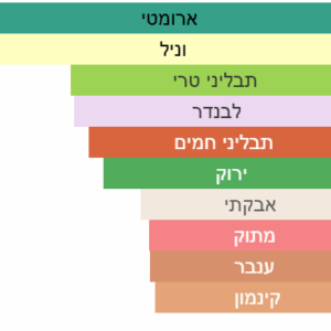 צילום מסך 2025-04-21 220035