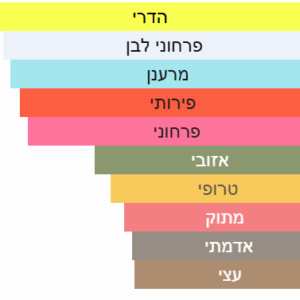 צילום מסך 2025-04-23 220617
