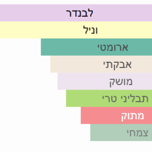 צילום מסך 2025-04-25 163710