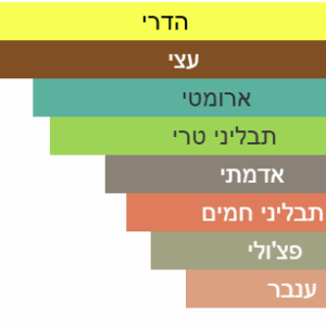 צילום מסך 2025-04-27 204727