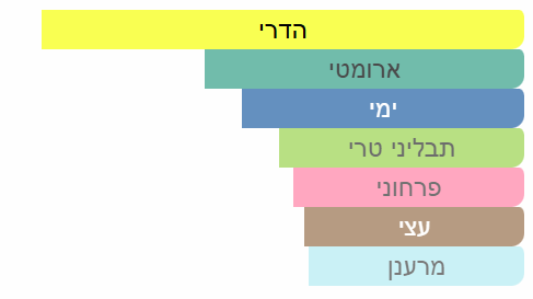 צילום מסך 2025-04-27 234848
