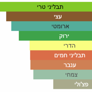 צילום מסך 2025-04-28 001753
