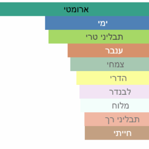 צילום מסך 2025-04-28 205639