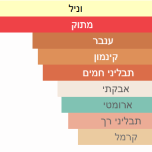 צילום מסך 2025-05-22 225508