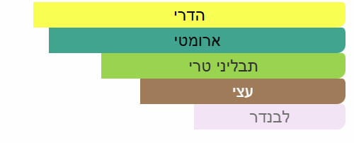 צילום מסך 2025-06-23 193135