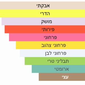 צילום מסך 2025-06-25 161237
