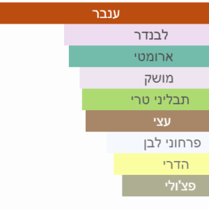 צילום מסך 2025-06-25 163456