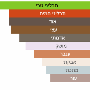 צילום מסך 2025-06-25 180309
