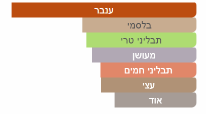 צילום מסך 2025-06-26 165325