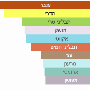 צילום מסך 2025-06-26 190711
