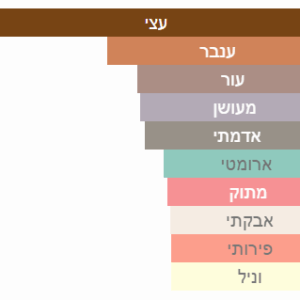 צילום מסך 2025-06-26 194902
