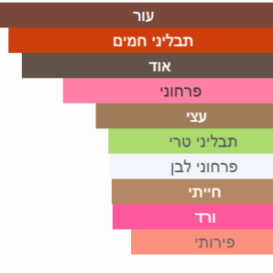 צילום מסך 2025-06-26 200319