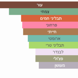 צילום מסך 2025-06-29 004823