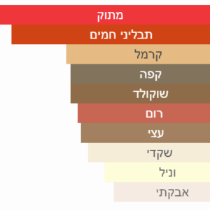צילום מסך 2025-06-29 011738