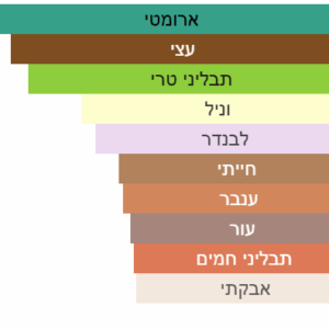 צילום מסך 2025-06-29 031122