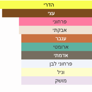 צילום מסך 2025-06-29 031942