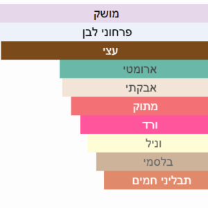 צילום מסך 2025-06-29 033131