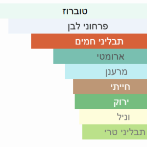 צילום מסך 2025-06-30 194328