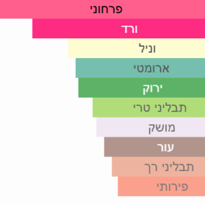 צילום מסך 2025-06-30 203523
