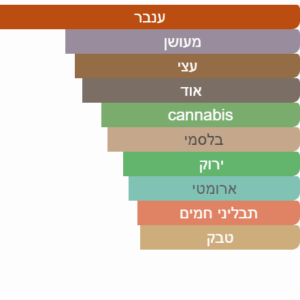 צילום מסך 2025-06-30 211117