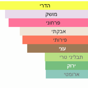 צילום מסך 2025-06-30 223051