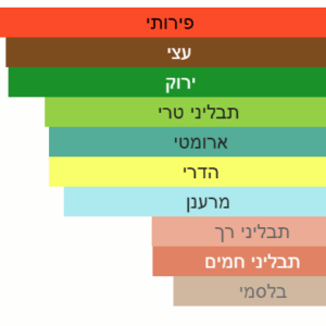 צילום מסך 2025-07-10 171453