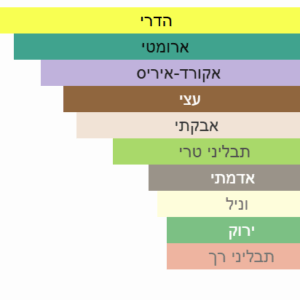 צילום מסך 2025-07-22 134003
