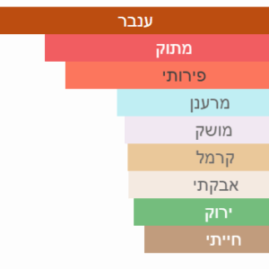 צילום מסך 2025-07-22 142127