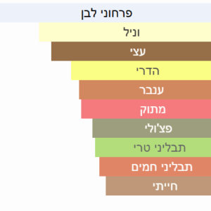 צילום מסך 2025-07-22 144709