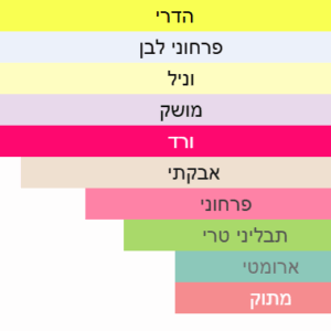 צילום מסך 2025-07-22 194039