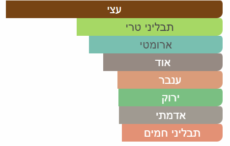 צילום-מסך-2025-04-21-231201
